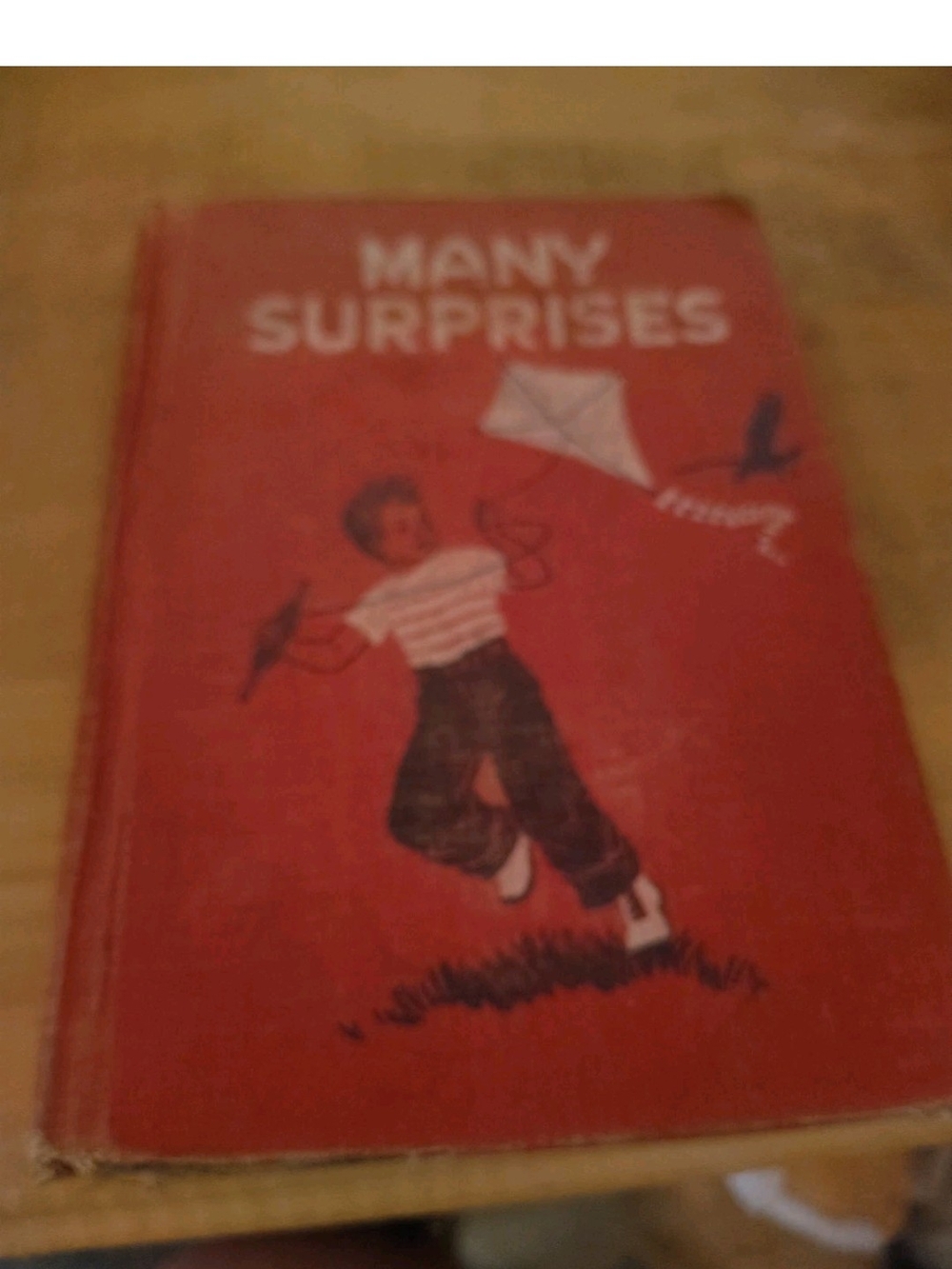 Many Surprises Red Hardcover Book